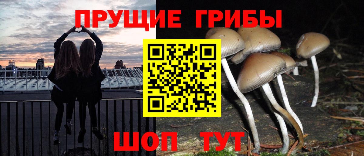 Большой Камень  Псилоцибиновые грибы Psilocybe  Галлюциногенные грибы мухоморы  как найти закладки  Вход с VPN 