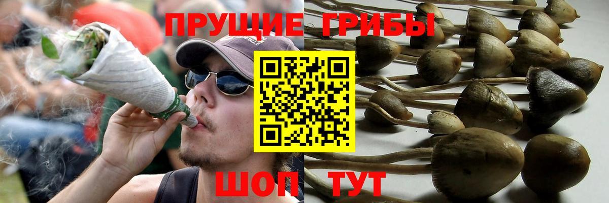 Псилоцибиновые грибы Magic Shrooms Большой Камень